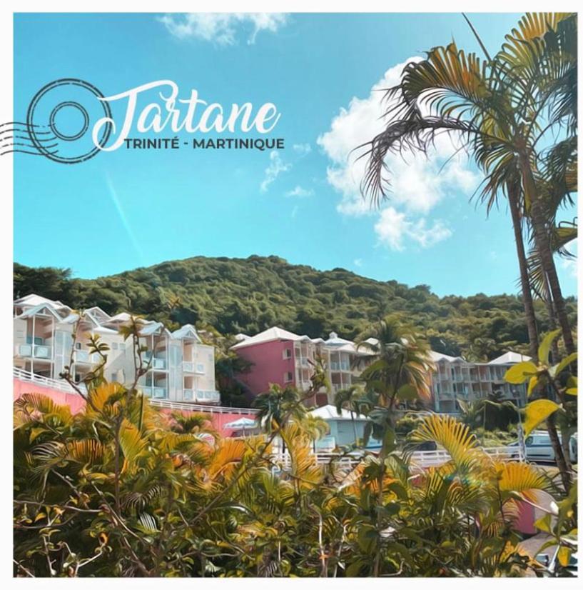 Residence De La Baie - Bleu Soleil Tartane La Trinite Luaran gambar
